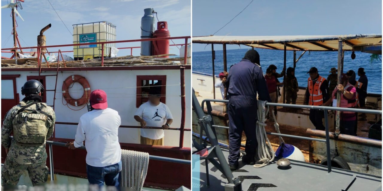 Protección a ‘Cacerolita de mar’, en peligro de extinción