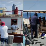 Protección a ‘Cacerolita de mar’, en peligro de extinción