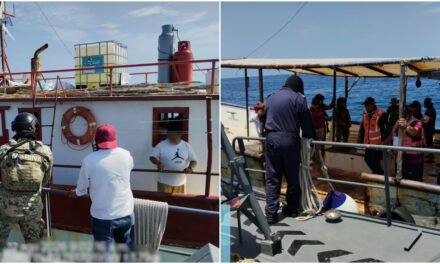 Protección a ‘Cacerolita de mar’, en peligro de extinción