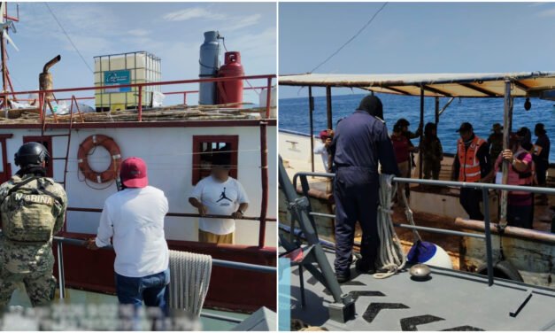 Protección a ‘Cacerolita de mar’, en peligro de extinción
