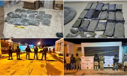 Cateos en Mérida y Conkal arrojan hallazgos de supuesta marihuana