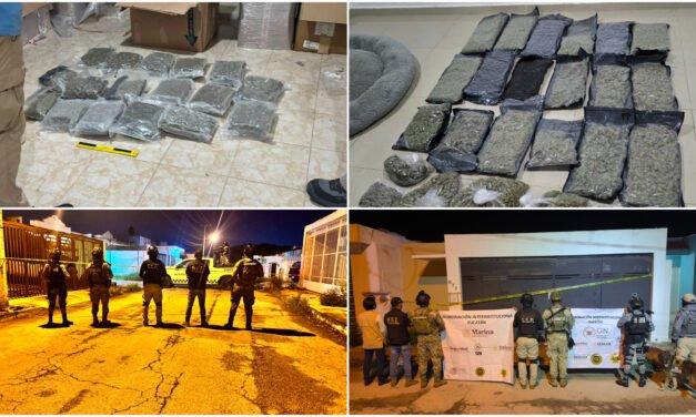 Cateos en Mérida y Conkal arrojan hallazgos de supuesta marihuana
