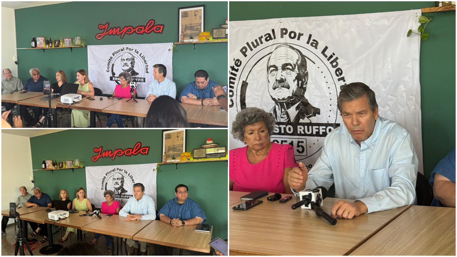 Comité Plural por la Libertad de Ernesto Ruffo en Yucatán
