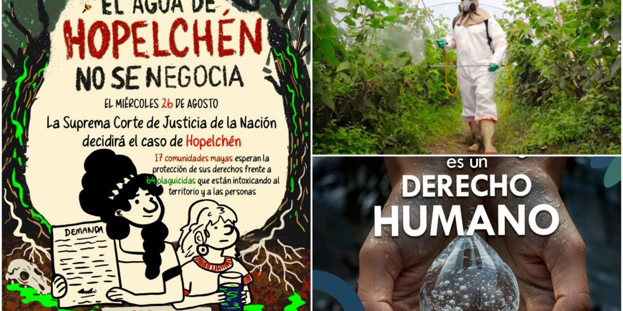 Protege SCJN a comunidades mayas de Campeche por plaguicidas
