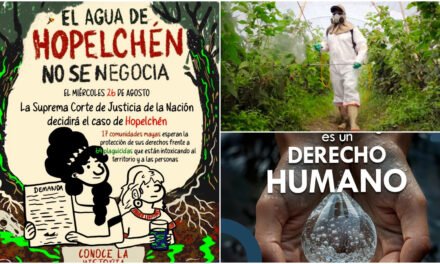 Protege SCJN a comunidades mayas de Campeche por plaguicidas