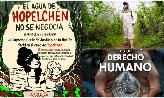 Protege SCJN a comunidades mayas de Campeche por plaguicidas