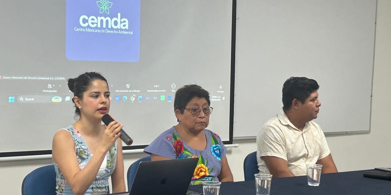 Mayas, por acciones efectivas contra plaguicidas