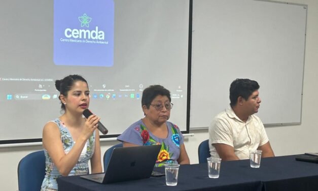 Mayas, por acciones efectivas contra plaguicidas
