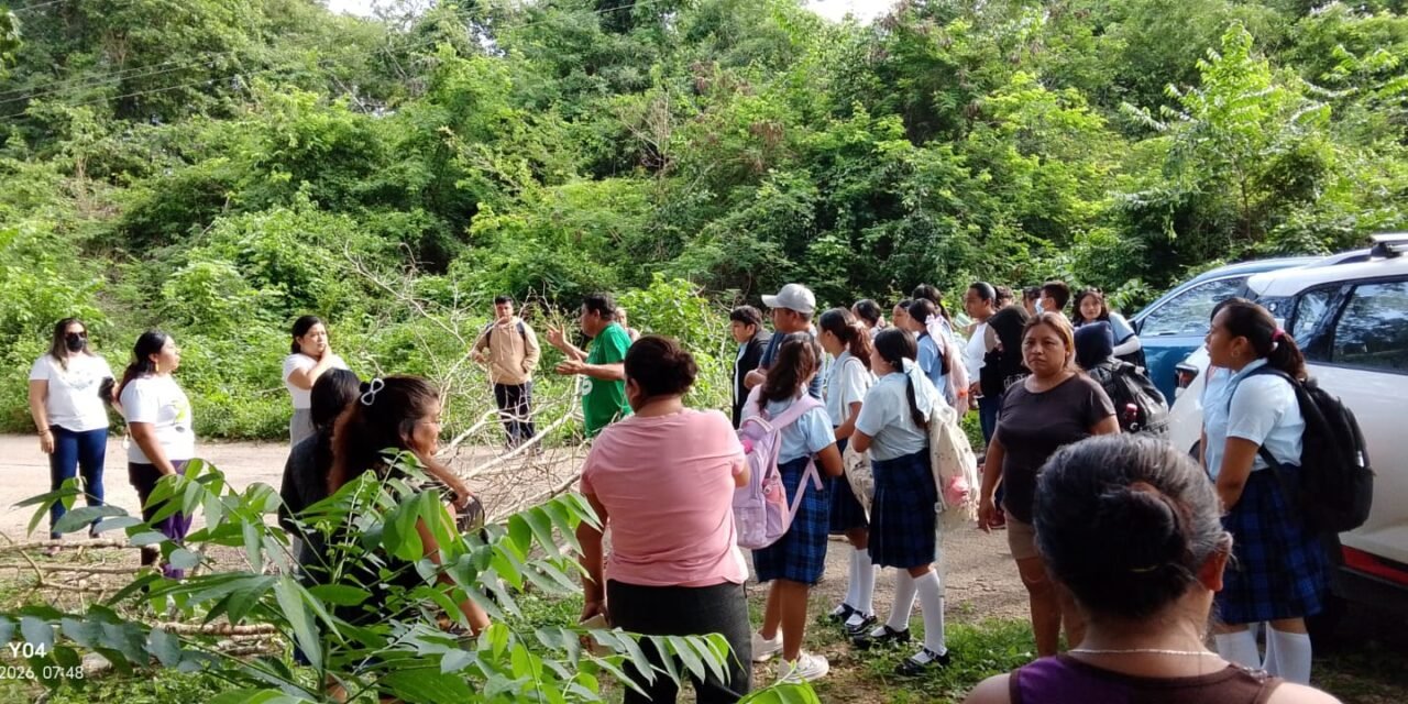 Cierran acceso a pueblo rural de Yucatán por fallas en electricidad