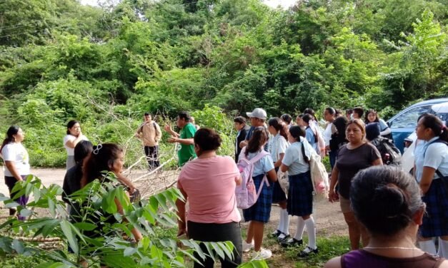 Cierran acceso a pueblo rural de Yucatán por fallas en electricidad