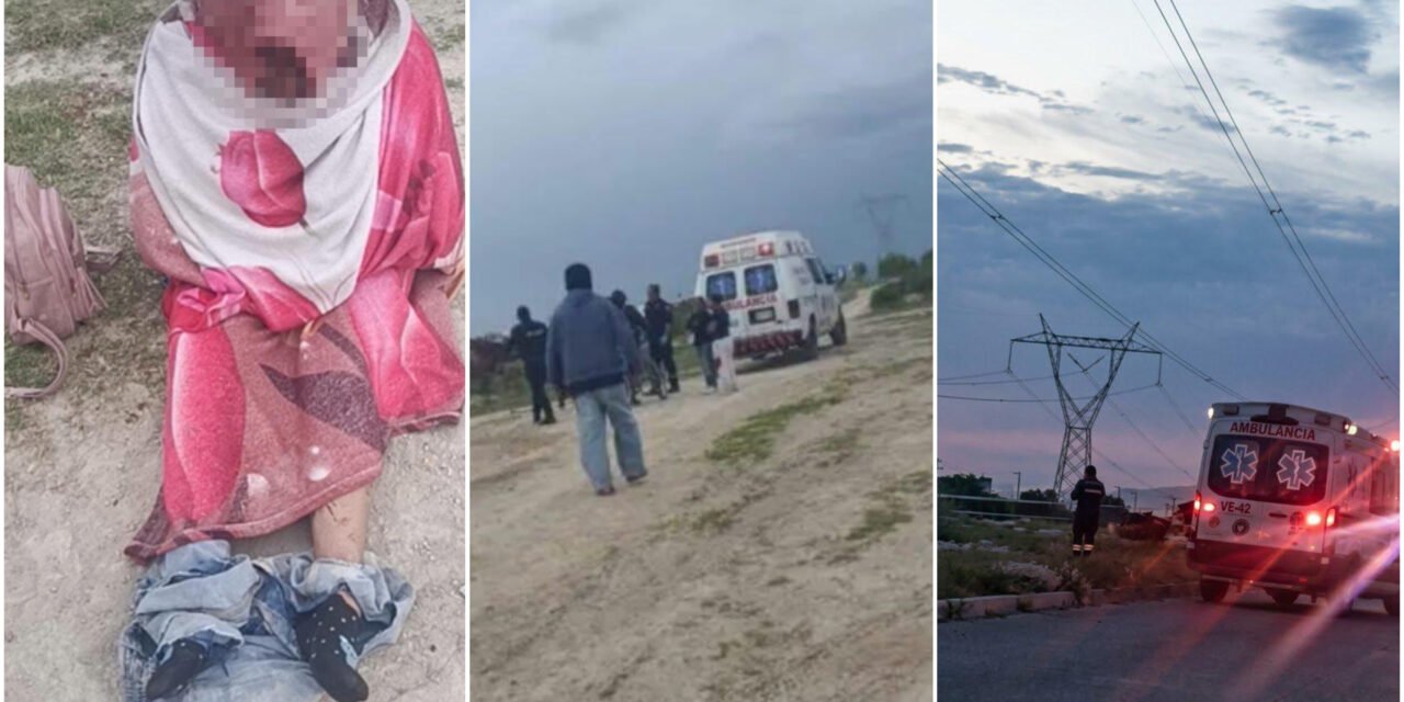 Ataque mortal de jaurías de perros en Tizayuca, Hidalgo
