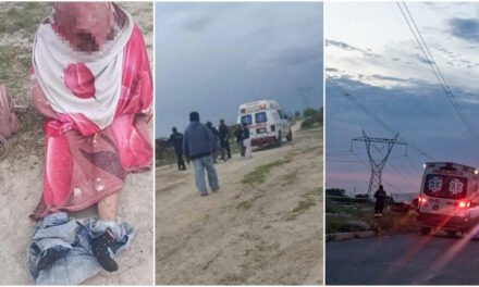 Ataque mortal de jaurías de perros en Tizayuca, Hidalgo