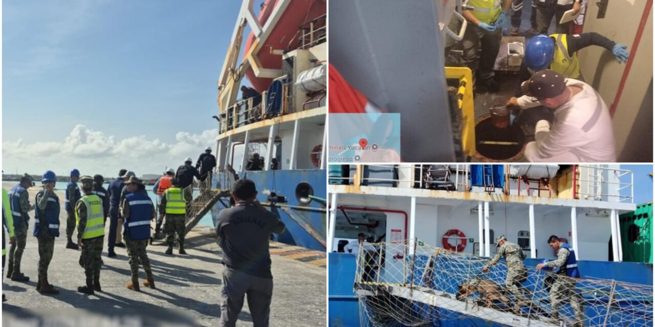 Retienen a carguero africano por manchas de diésel en Progreso